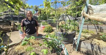 First Riverina Harvest Festival to cultivate connections in celebration of local food