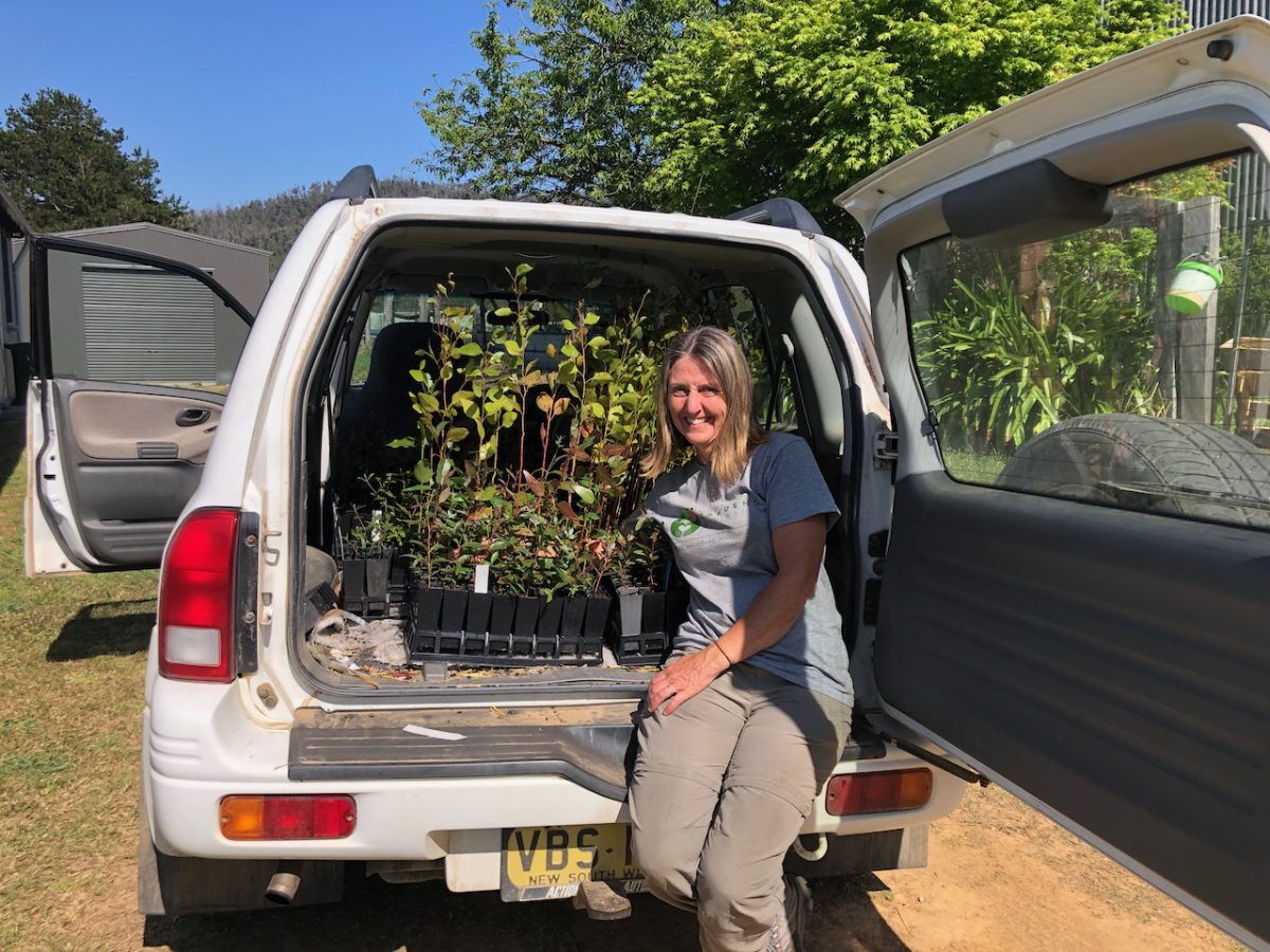 Eurobodalla Koala Project project administrator Sharlene Cohen with some of the 12 species of koala trees they are planting to create koala corridors. 