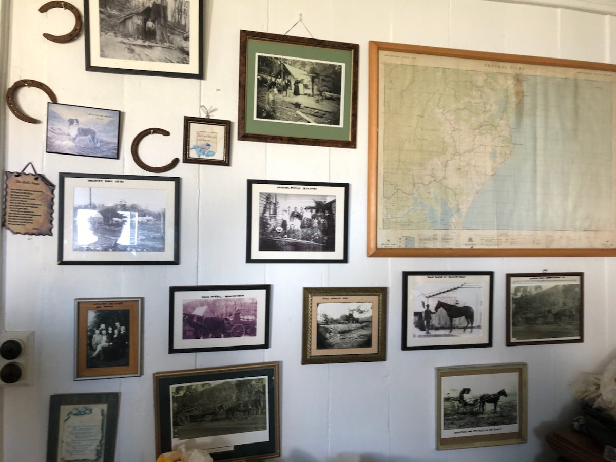 photos on a house wall