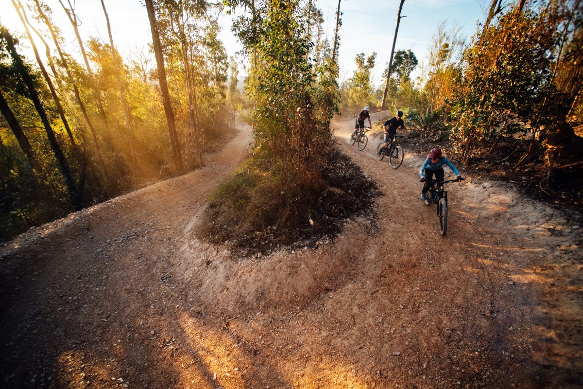 mountain bike riders in the bush