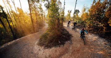 Track down a fun day out: Mountain bikers will be guided along Mogo Trails at Community Ride Day