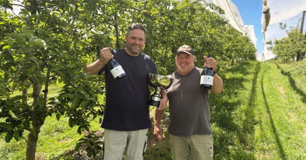 Batlow heritage cider wins inaugural trophy at national awards