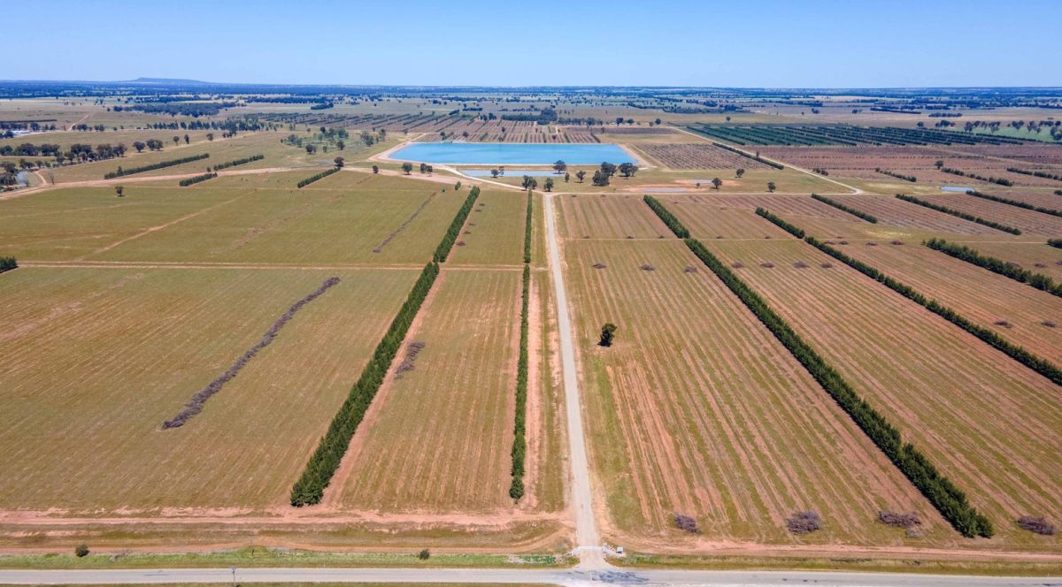 Aerial shot of farm property 