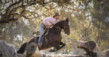 King of the Ranges saddles up for battle on the banks of the 'Bidgee