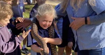 Iconic Batemans Bay tourist attraction, Birdland, closes its gates