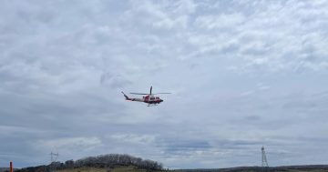 Search ramps up in Snowies for experienced bushwalker and brumby advocate