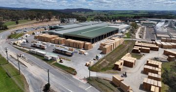 Tumbarumba sawmill’s new facility paves way for bushfire recovery and future growth