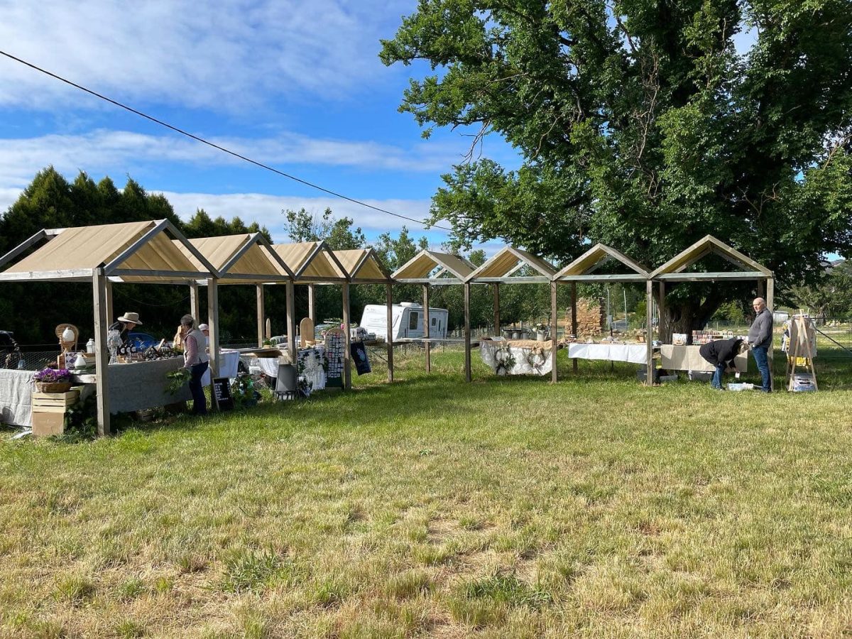 A green field with eight tents and tables set up