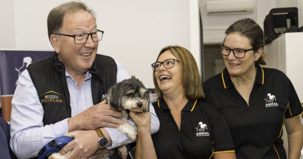 Animal welfare centre opens in Bega to both educate and quickly respond to cruelty complaints