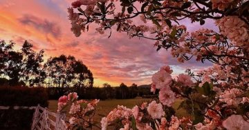 Milestones for Goulburn’s clean energy and shifting climate change attitudes