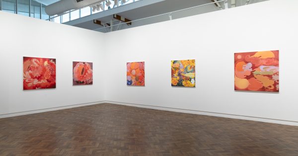 Experience the artistic vision of Dionisia Salas at Goulburn Regional Art Gallery