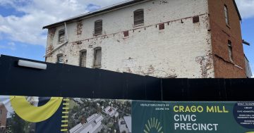 'Stop and take pause': Yass Council backs down from full delivery of Crago Mill development