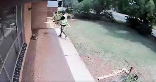 'F*** you too': Aramex uses expletive to Griffith customer after video captures courier throwing parcel