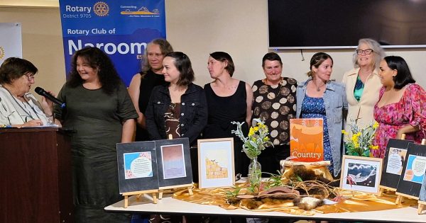 Narooma Preschool's ground-breaking Indigenous unit earns mark of excellence from Rotary club