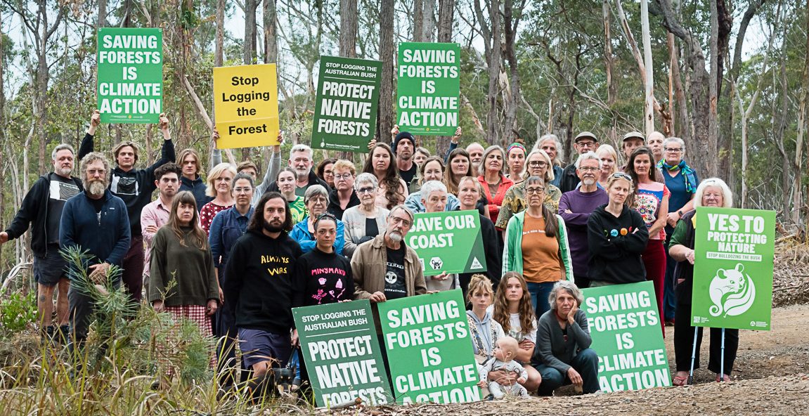 Some 44 people gathered in Turlinjah on Thursday 21 November to protest about extensive native forest logging on private property in the area.