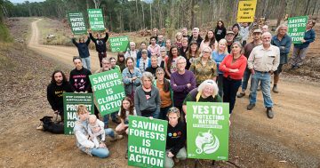 Protest held at Turlinjah about native forest logging on private property