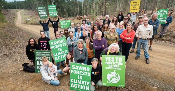 Protest held at Turlinjah about native forest logging on private property