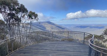 From Perisher to Bullocks Flat: The final stretch of Snowies Alpine Walk opens in December