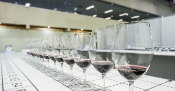 Award-winning excellence as Hilltops wines shine bright at Canberra showcase