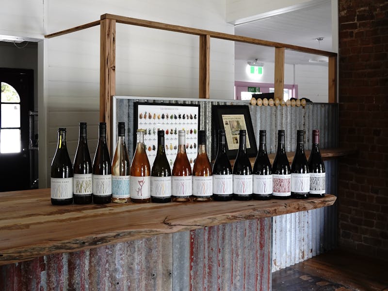 an array of wines on a table 