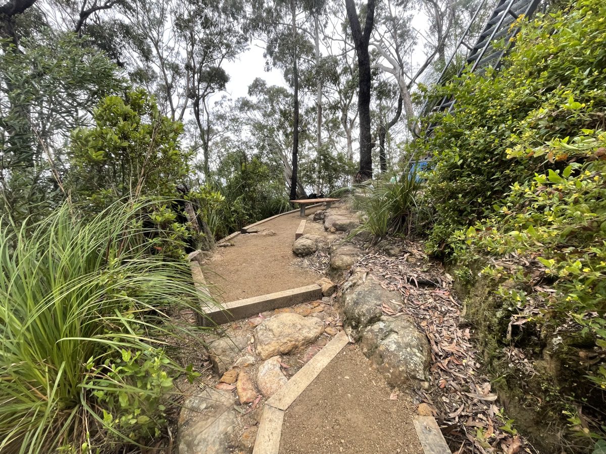 A hiking trail with newly padded steps