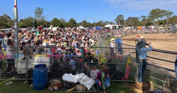Council approves proposal for primitive camping ground at Moruya Showground