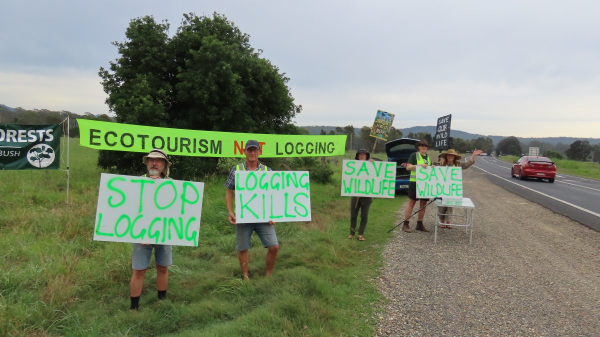 four protesters holding anti logging signs in front of an ecotourism banner