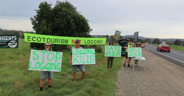 Ending logging in the Eurobodalla 'would negate half of the shire's other emissions'