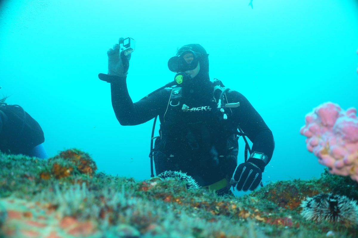 A diver underneath the water