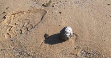 Mysterious ball-shaped debris wash up on South Coast beaches