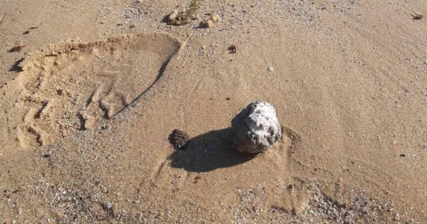 UPDATED: 15 kgs of ball-shaped debris removed from South Coast beaches