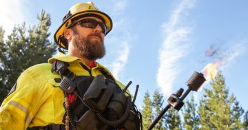 Five years on from Black Summer, Forestry Corp's firefighting force still expanding