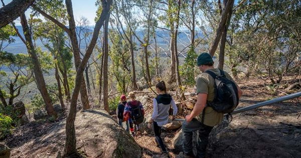 Pigeon House Mountain walking track reopens in Morton National Park after destructive drenching