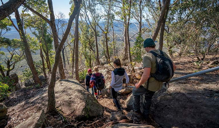 Hikers walking down a bush trail with mountains in the background