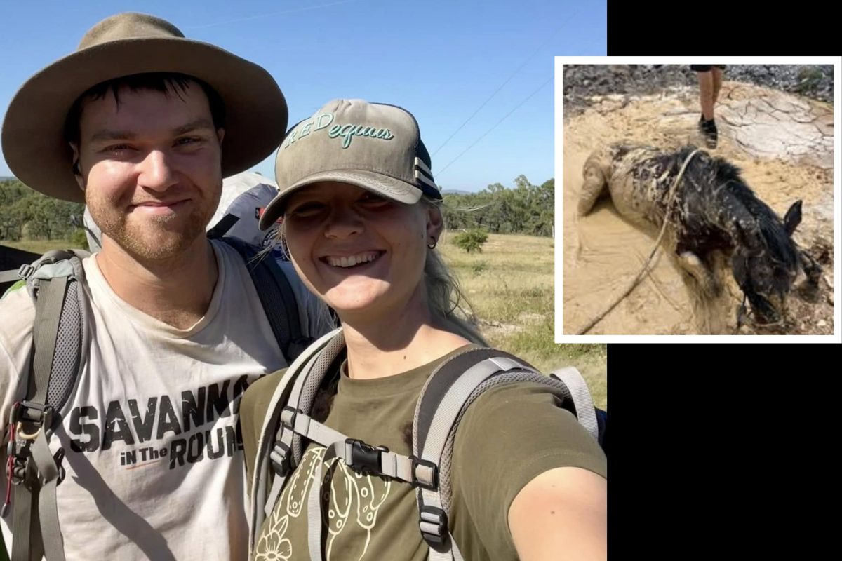 a man and a woman and an inset of a horse stuck in mud