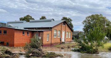 'We need to do this right': Master plan in progress for Muttama Creek improvement