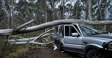 Massive clean-up underway in Riverina after devastating supercell storm