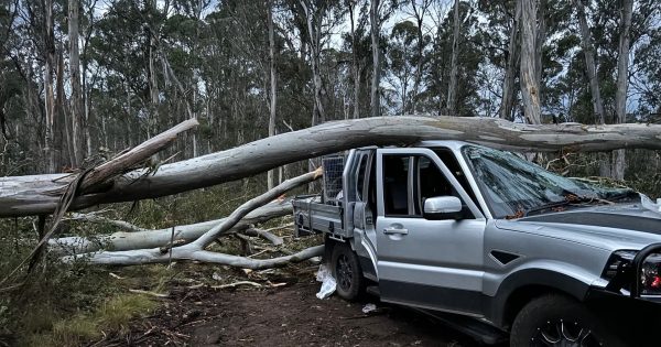 Massive clean-up underway in Riverina after devastating supercell storm