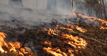 Farmers urged to sign up for bushfire-fighting vehicle trial