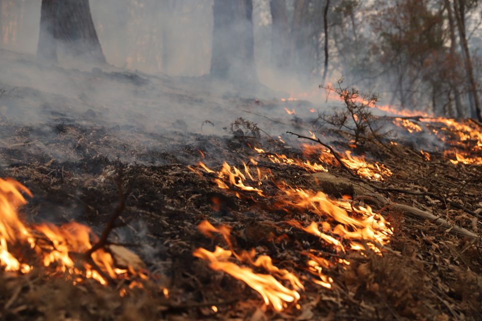 Farmers Urged To Sign Up For Bushfire-fighting Vehicle Trial 