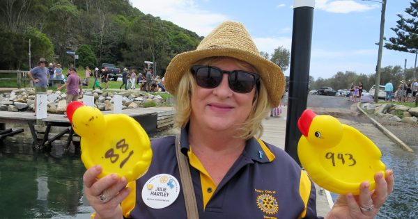 Popular Rotary fundraiser proves a 'quacking' day out as duck racers take plunge in droves