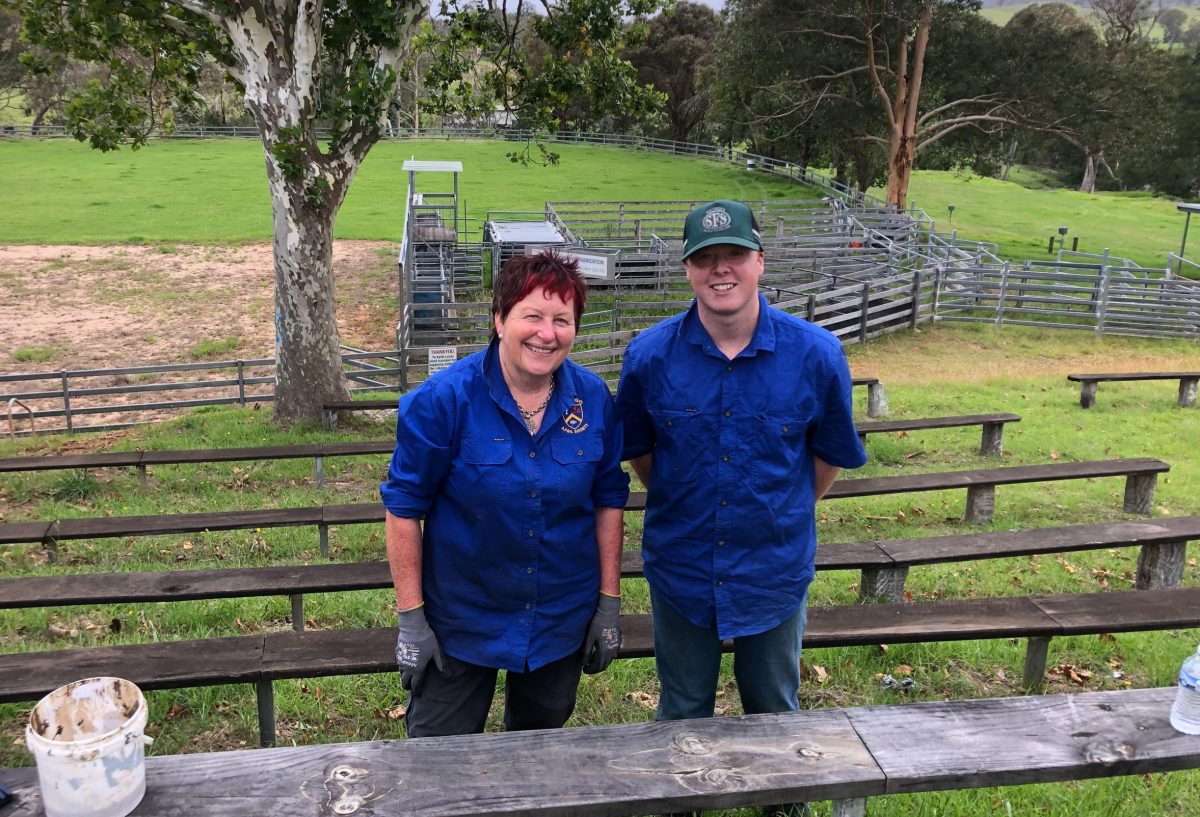 Cobargo Show vice president June Tarlinton and chief steward of dairy Dylan Salway hard at work on 18 January preparing for the 126th show. 