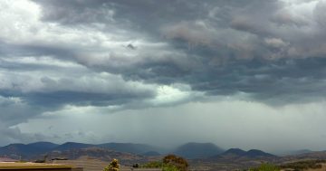 Batten down the hatches - wild wind and storms are on their way