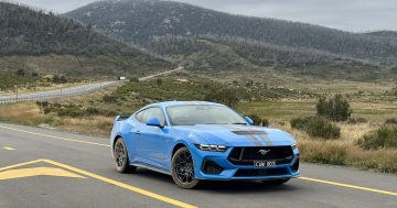 Kosciuszko National Park needs more wild horse - of the Ford Mustang GT variety