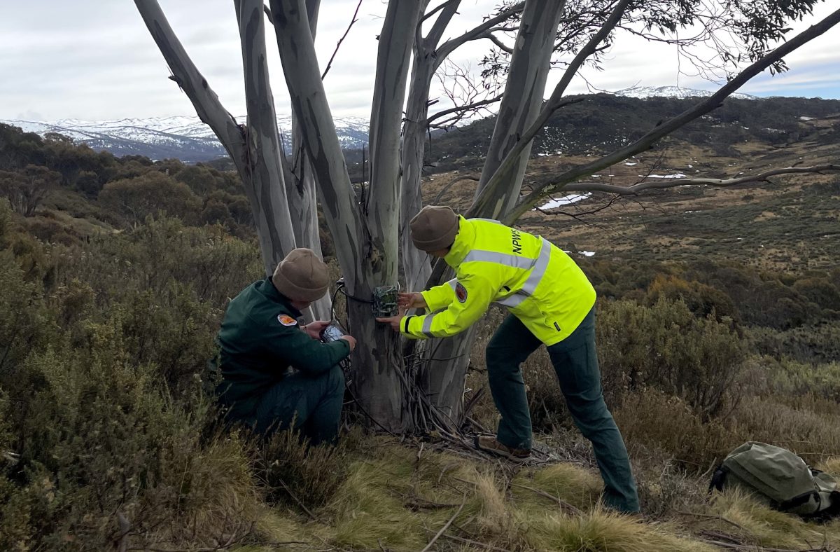 NPWS Ecoscorecard