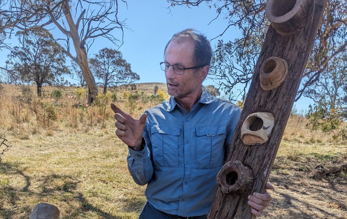 Sydney-based ecologist Matt Stephens who designed the Hollowhog tree boring tool. 