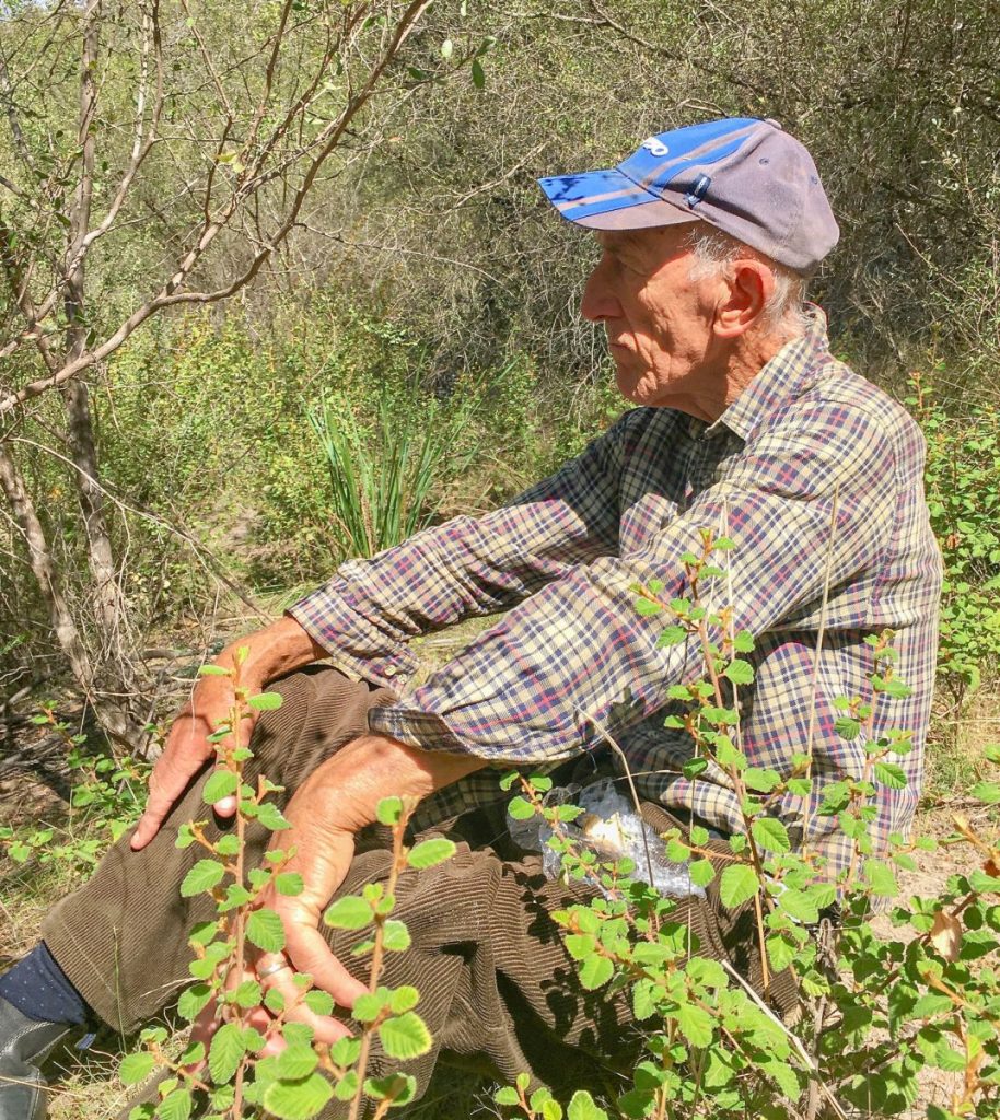 In his element in the Australian bush, Tim Hayes has often been called on to provide his vast knowledge and seeds to help rehabilitate the Goulburn region’s landscape. 