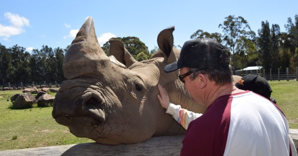 See Mogo Wildlife Park like never before on an exclusive and intimate Wildlife Sunset Tour