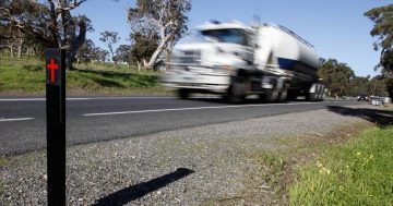 More speed cameras on the way as regional fatalities account for majority of deaths on NSW roads