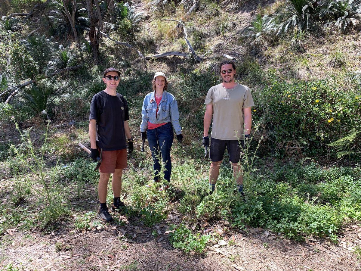 Intrepid Landcare volunteers at Maloneys Beach in October 2024. 